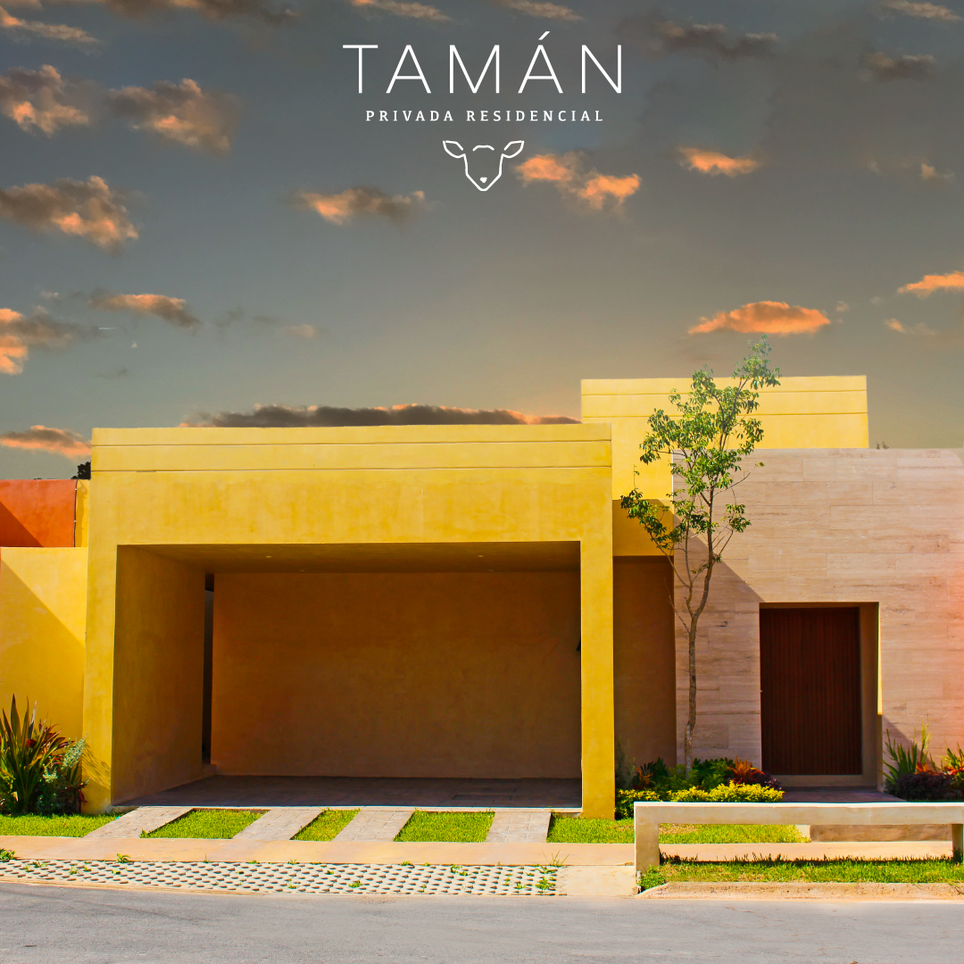 Tamán