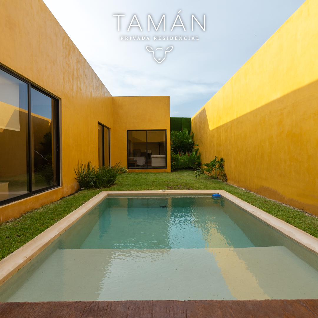 Tamán