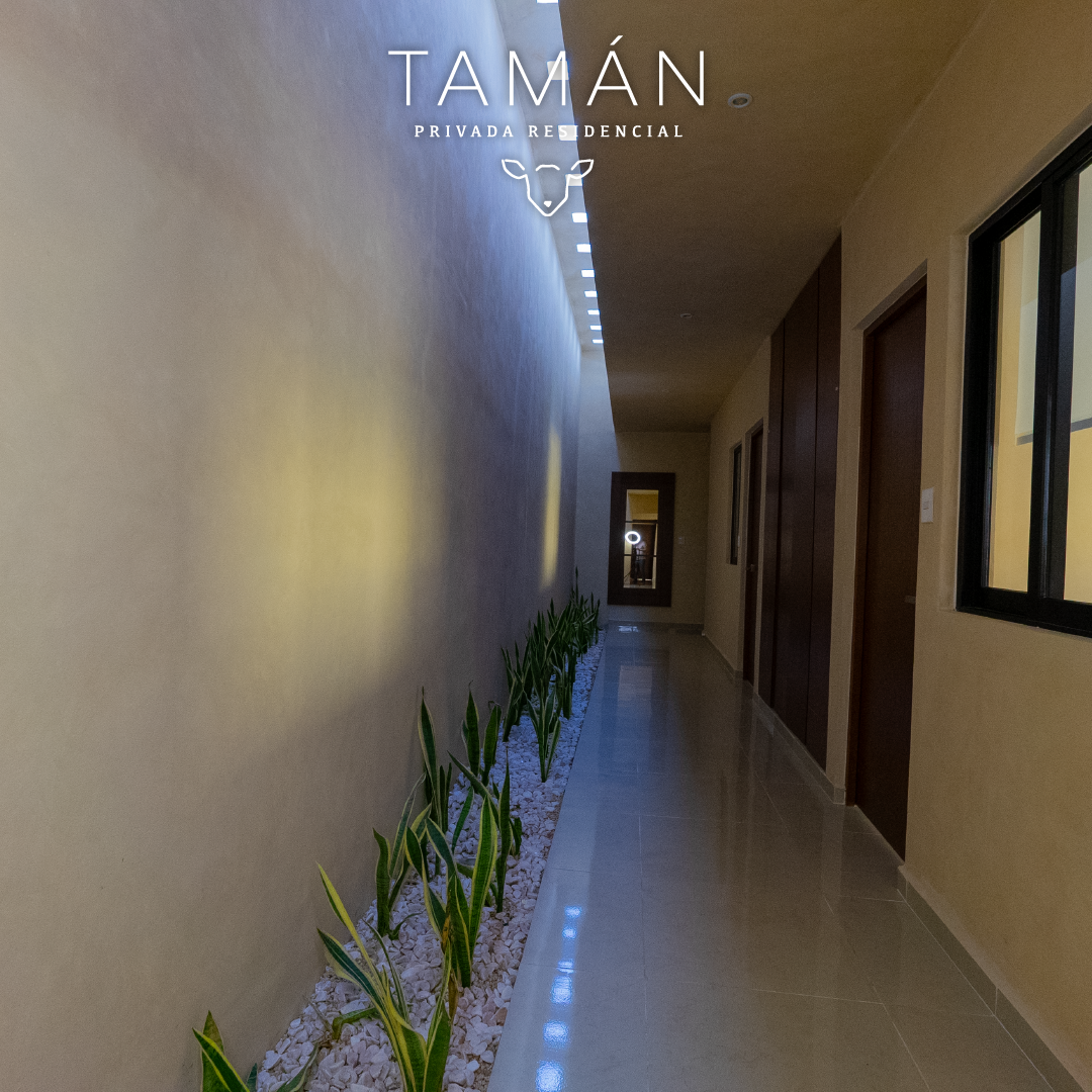 Tamán