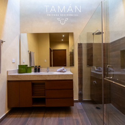 Tamán