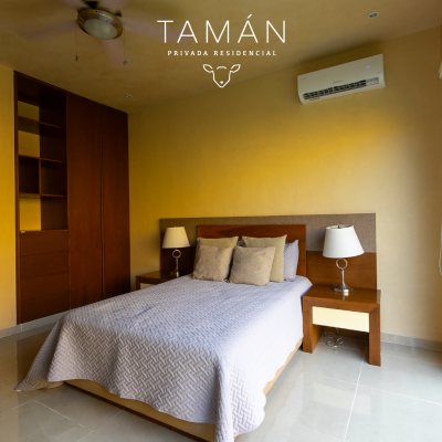 Tamán
