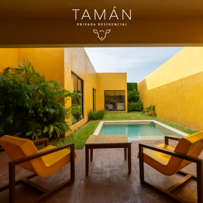 Tamán