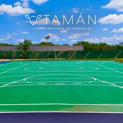 Tamán