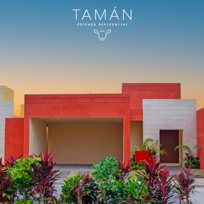 Tamán