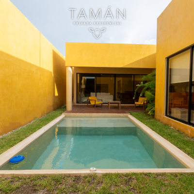 Tamán