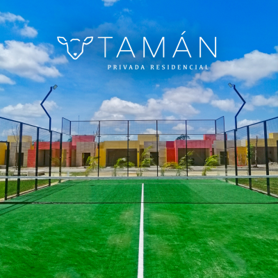 Tamán