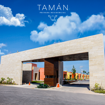 Tamán